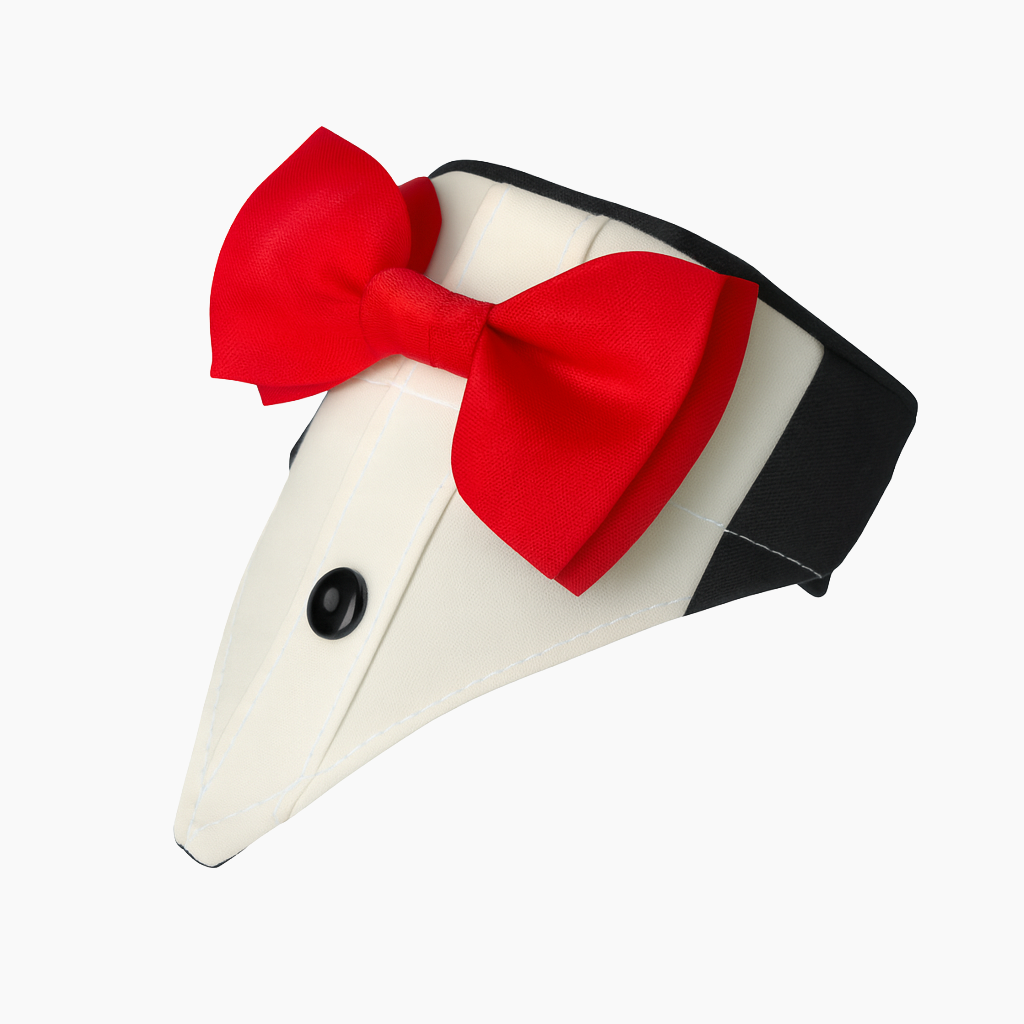 Detalle adicional modelo 004