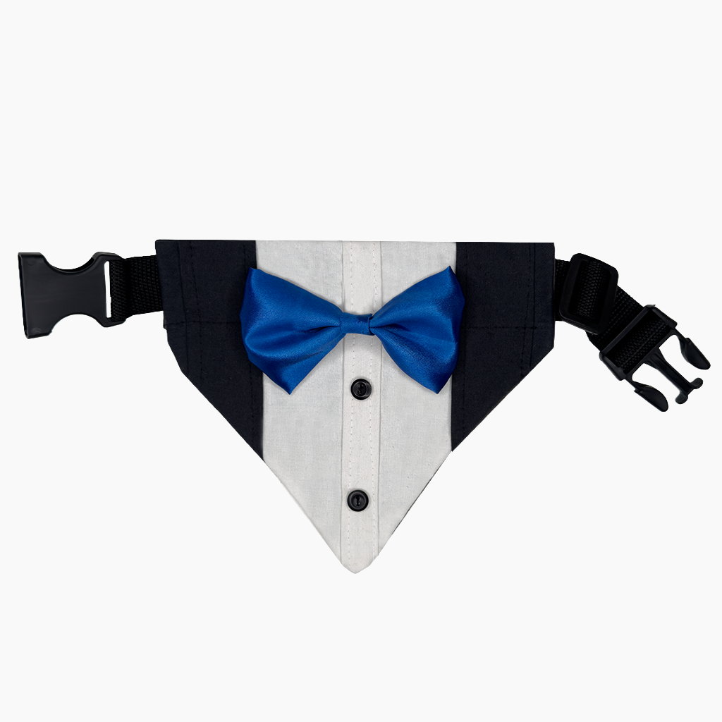 Detalle adicional modelo 005