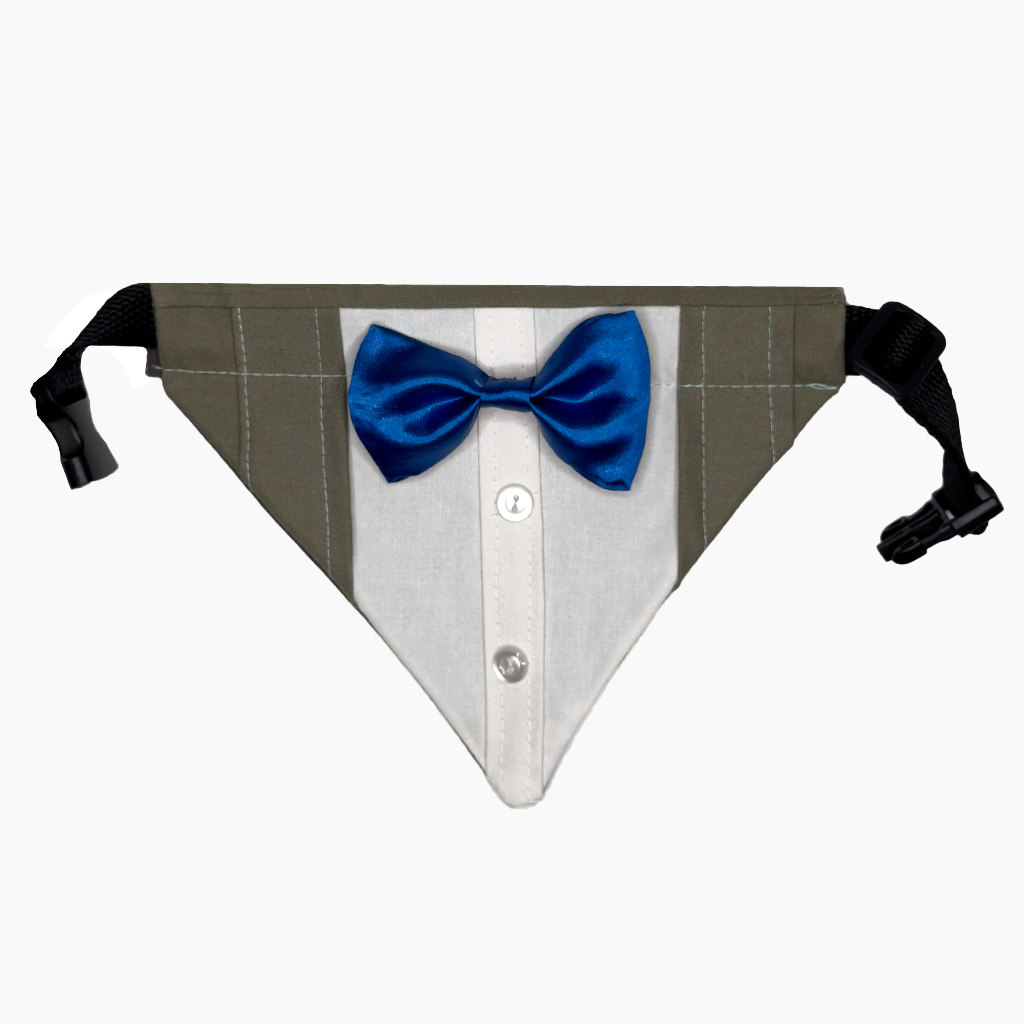 Detalle adicional modelo 008