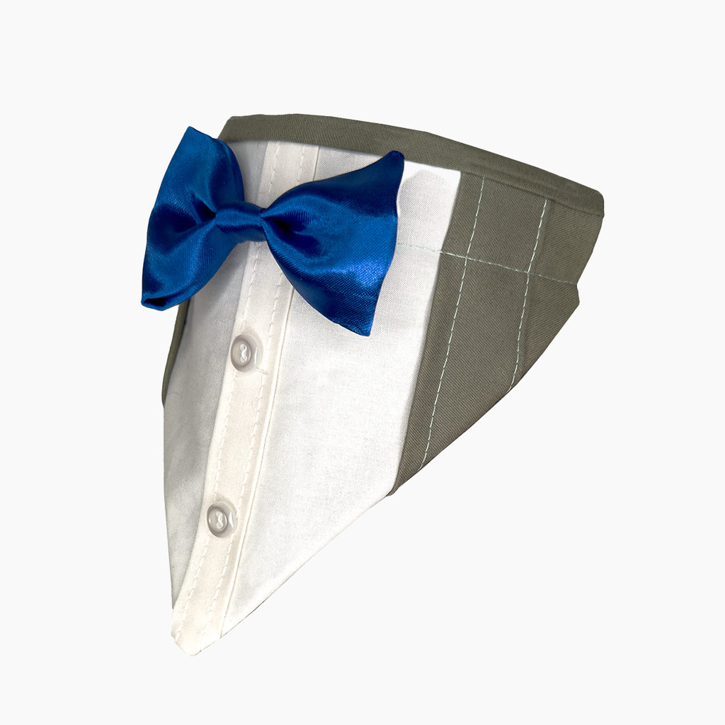 Detalle adicional modelo 008