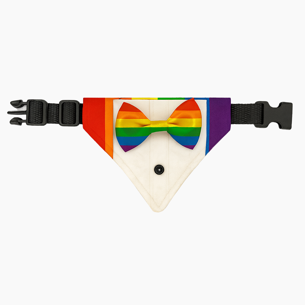 Detalle adicional modelo 009