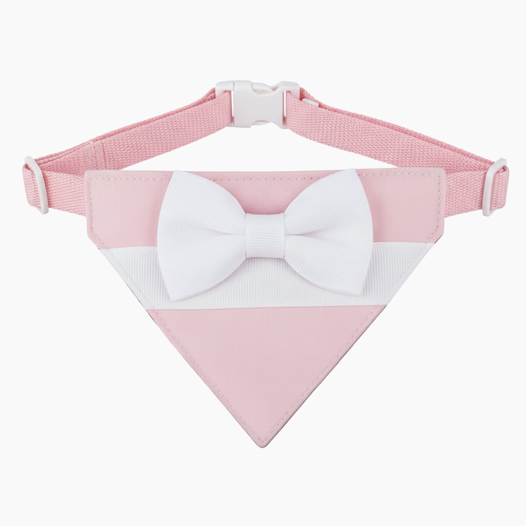 Detalle adicional modelo 010