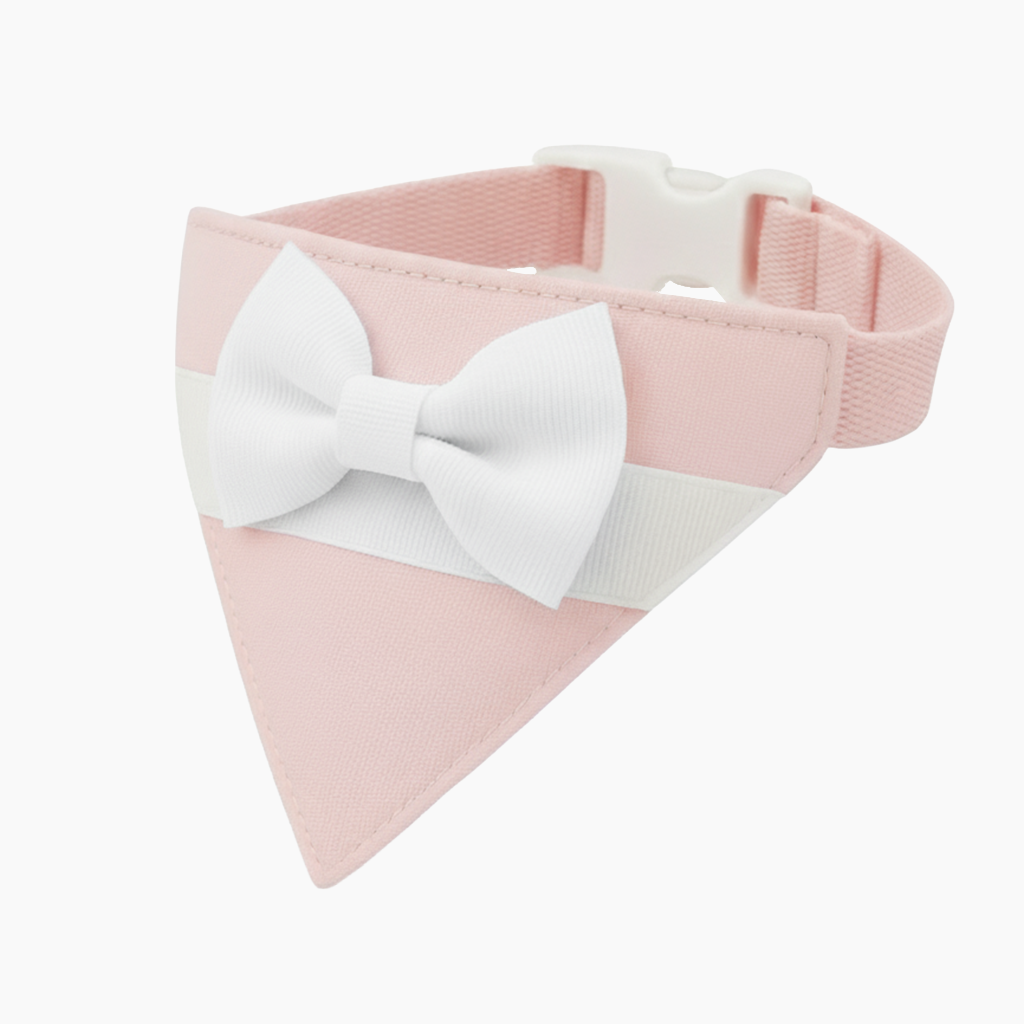 Detalle adicional modelo 010