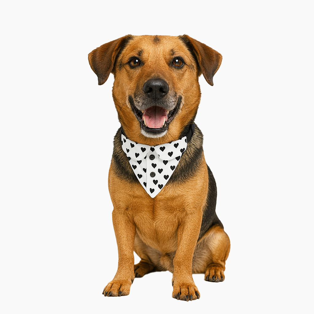 Detalle adicional modelo 014