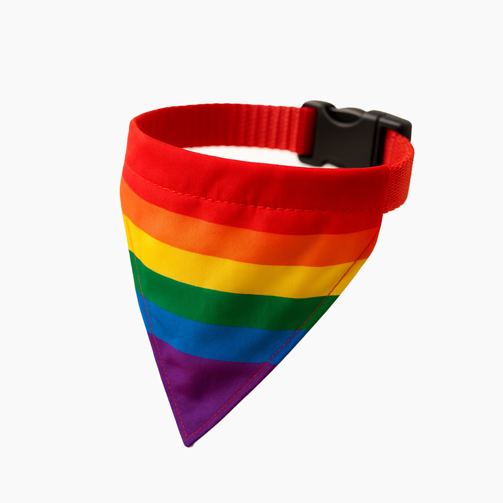 Detalle adicional modelo 016