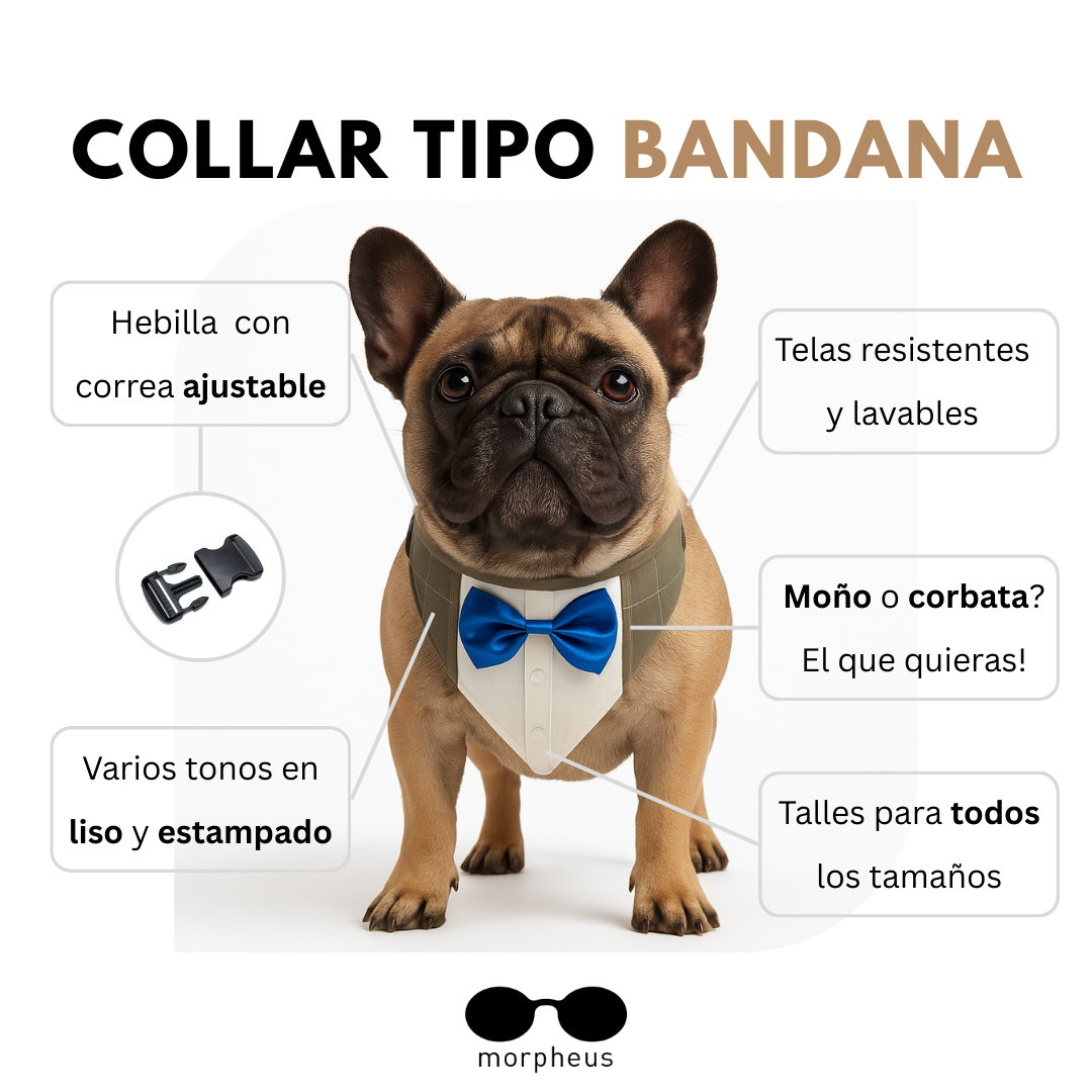Esquema con partes del collar bandana: moño, pechera, costuras, hebilla y correas